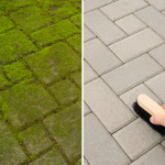 Before and after image showing the results of removing moss from pavers