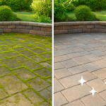 Before-and-after view showing results of removing moss from pavers.